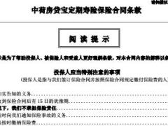 中荷房贷宝定期寿险保险合同条款10页.rar