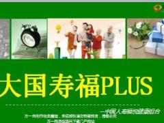大国寿福Plus销售理念培训课件36页.ppt
