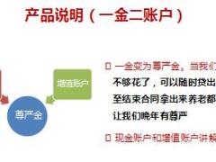 太平卓越至尊大众版销售流程17页.ppt