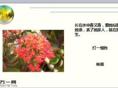 每日快乐早会17年11月07日使用15页.ppt