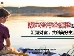 太平洋聚宝盆年金保险保险利益投保示例13页.ppt