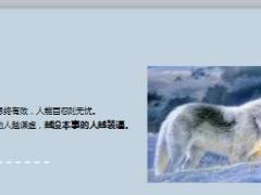 每日鸡汤宁可拼搏累死也不能在家闲死.rar