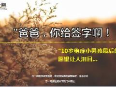 10岁绝症小男孩最后的愿望捐献遗体13页.ppt