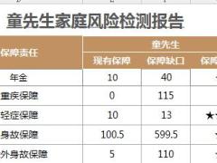 两口之家保单规划工具表大童版12页.xls
