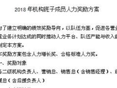 2018年机构班子成员人力奖励方案13页.ppt