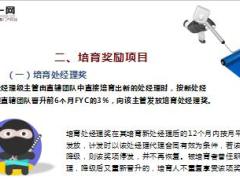 中国人寿主管晋升激励方案2017版9页.ppt