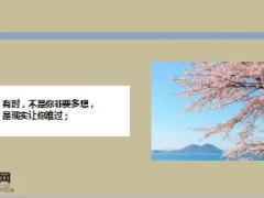 每日鸡汤最难的路请你自己走.rar