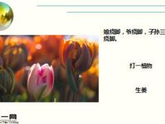 每日快乐早会17年11月10日使用15页.ppt