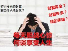 国寿盛世传家开发背景特色介绍目标市场31页.pptx