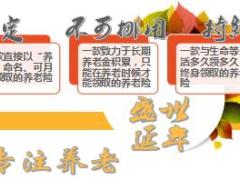 国寿盛世延年产品背景形态亮点目标市场22页.pptx