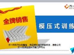 金牌销售模压训练国寿盛世尊享版37页.ppt