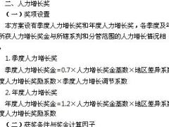 2018年机构个险前线经理人力奖励方案9页.ppt