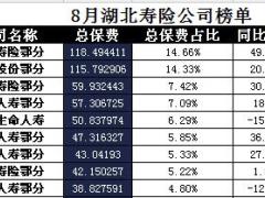 湖北省2017年前8月寿险公司总保费排行榜.xls
