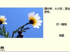 每日快乐早会17年11月14日使用15页.ppt