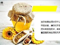 患癌父亲为省2元不吸氧19页.ppt