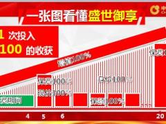 中国人寿盛世御享御享人生产品解读19页.ppt