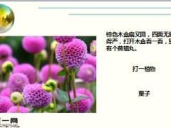 每日快乐早会17年11月15日使用15页.ppt