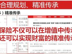 视频太平卓越臻享高端版销售逻辑分享.rar