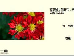 每日快乐早会17年11月16日使用15页.ppt