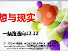 保险公司双十二大额保单销售推动方案27页.ppt