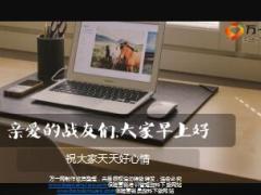咖啡色简约早会流程精美10页.ppt