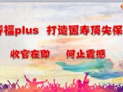2017四季度自营业务规划国寿版25页.ppt