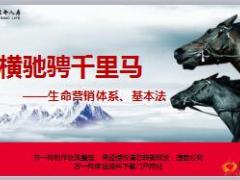 富德生命营销体系基本法介绍51页.ppt