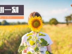 灰橙色早会流程模板精美10页.ppt
