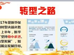 新华保险福享金生A款保险产品计划介绍71页.ppt