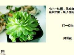 每日快乐早会17年11月21日使用15页.ppt
