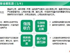 国寿国金所大金融促发展公司介绍17页.ppt