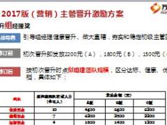 主管晋升激励方案宣导2017国寿版12页.ppt