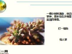 每日快乐早会17年11月23日使用15页.ppt