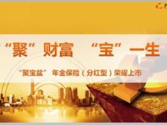 太平洋聚宝盆年金保险分红型上市宣导片42页.ppt