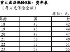 建信人寿保无忧重大疾病保险B款条款费率表.rar
