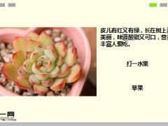 每日快乐早会17年11月27日使用15页.ppt