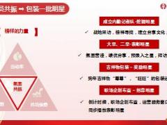 2018年开门红推动运作分享太平版28页.ppt