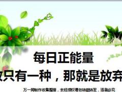 每日正能量失败只有一种那就是放弃努力14页.ppt