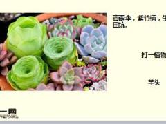 每日快乐早会17年11月30日使用15页.ppt