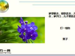 每日快乐早会17年12月1日使用15页.ppt