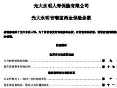 光大永明吉瑞宝两全保险条款费率表.rar