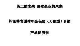 建信人寿补充养老团体年金保险万能型B款保险条款产品说明书.rar