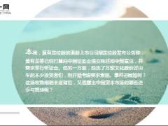 敲响中国富豪激进投资方式的警钟18页.ppt