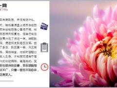 每日保险故事黄州菊8页.ppt