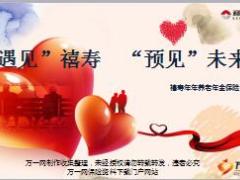 利安人寿禧寿年年养老年金险背景产品案例销售支持47页.ppt