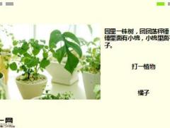 每日快乐早会17年12月5日使用15页.ppt