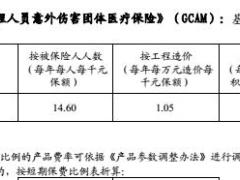 建信人寿附加建筑工程人员意外伤害团体医疗保险条款费率表.rar