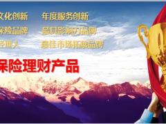 利安人寿至尊鑫禧荣获2016年度最佳理财保险产品奖报道21页.ppt