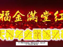新华人寿福金满堂红保险产品计划介绍31页.pptx
