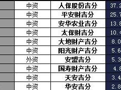 吉林省2017年前9月寿险公司总保费排行榜.xls
